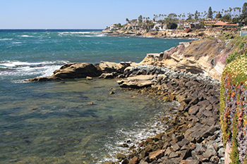 Bird Rock Property Managers