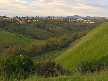 Sorrento Valley Property Managers