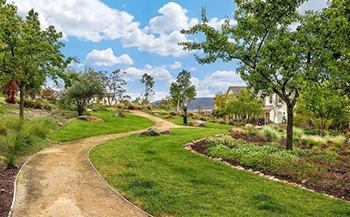 Del Sur Property Managers
