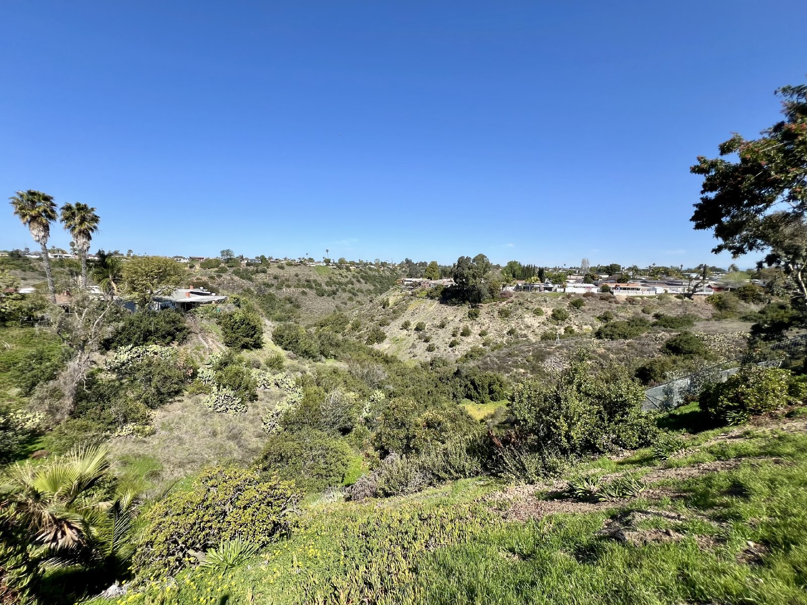 Charming 3-Bed, 2-Bath Home with Canyon Views & Attached Garage property image