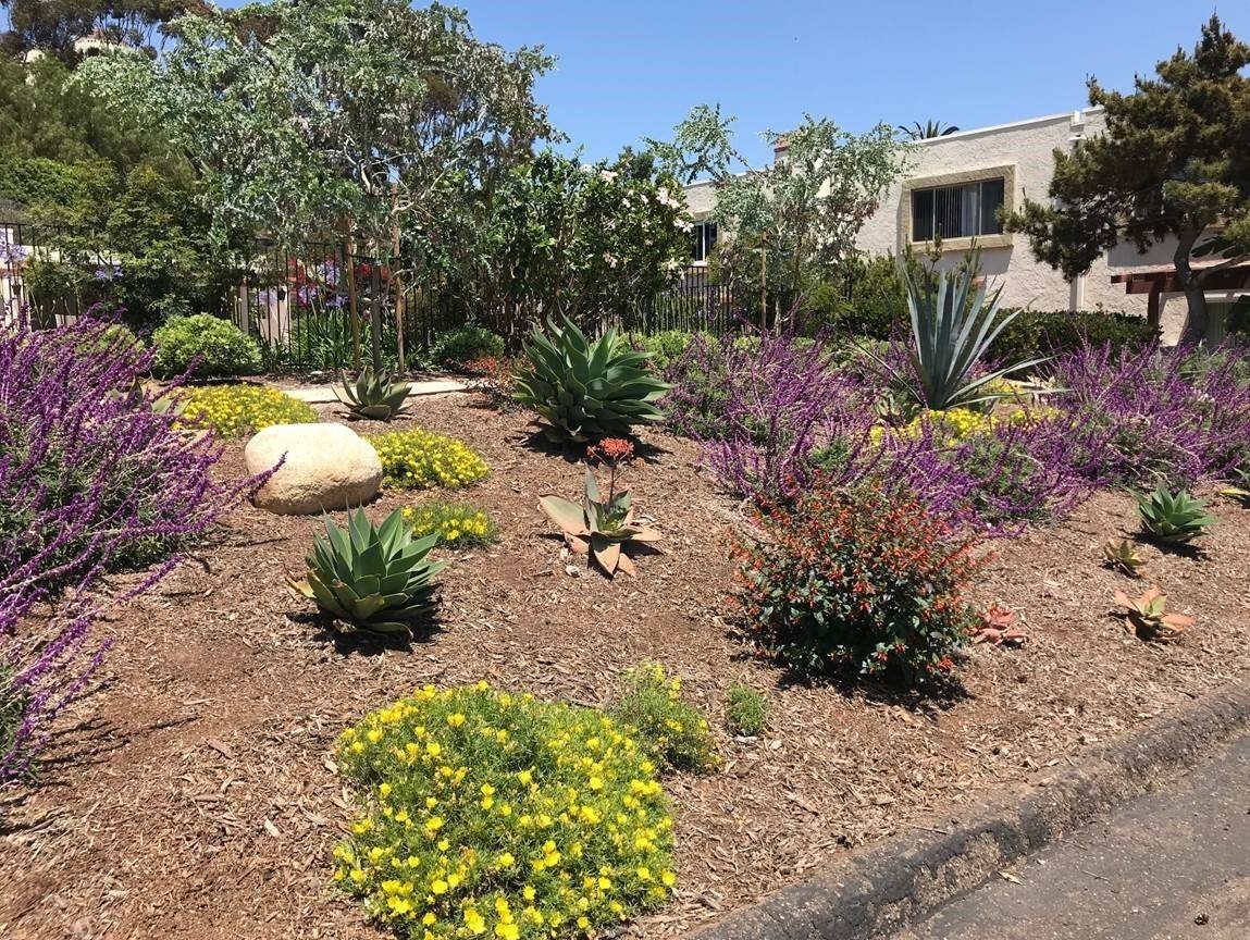 Spacious 2BD/2.5BA Town Home with 2 Car Garage property image