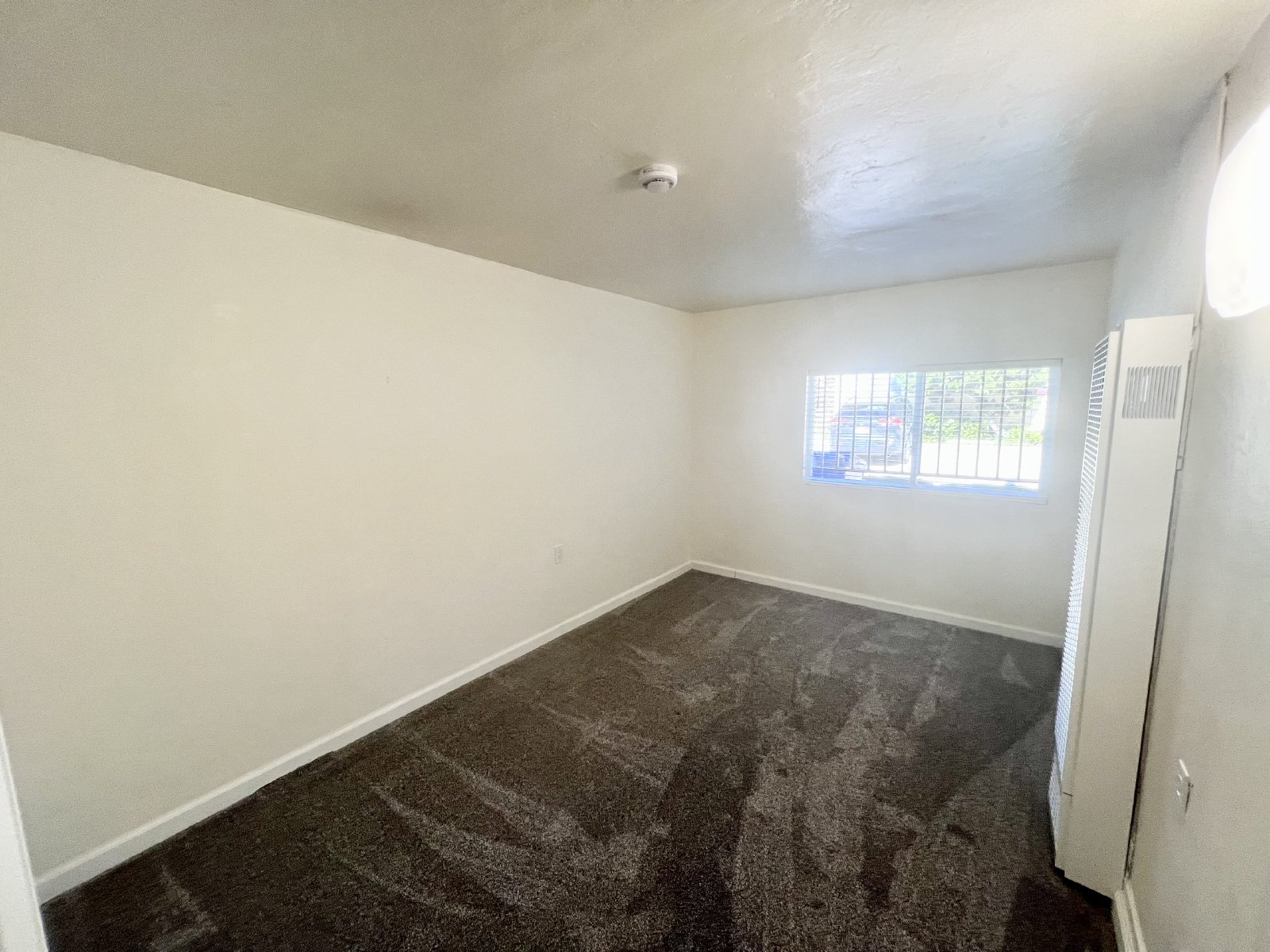 Charming 3-Bedroom Beachside Downstairs Apartment in Pacific Beach property image