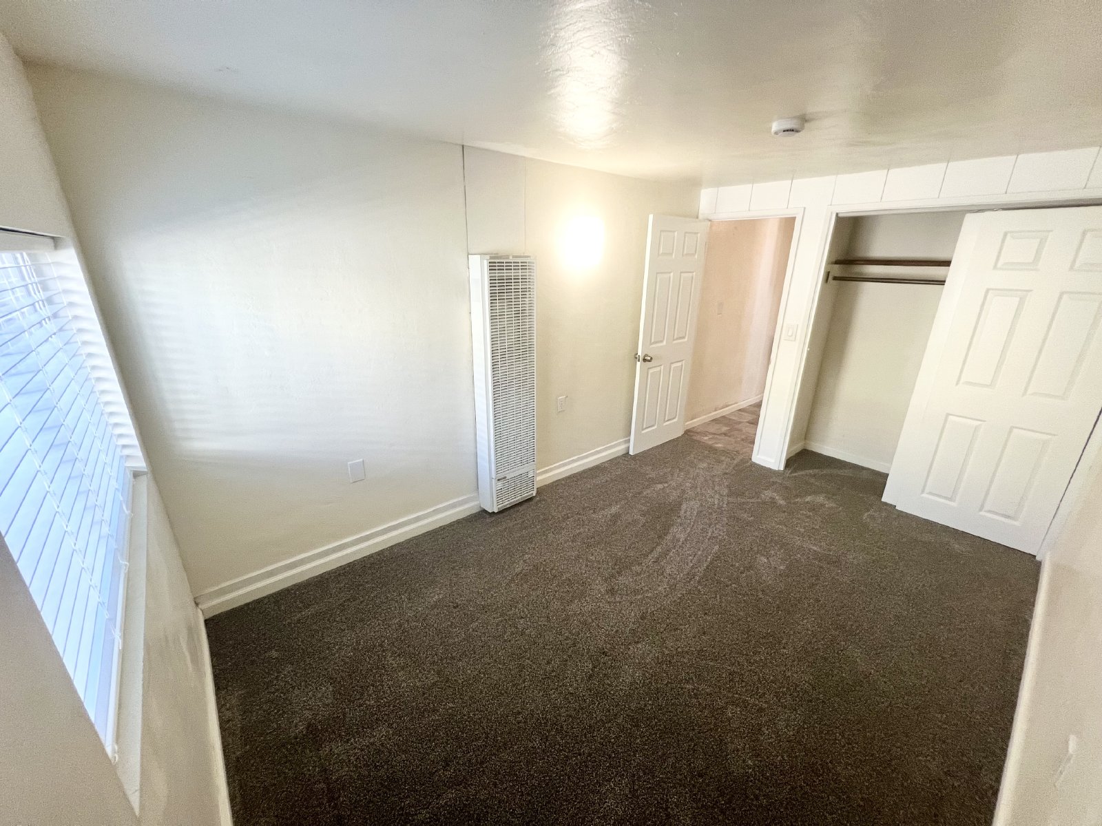 Charming 3-Bedroom Beachside Downstairs Apartment in Pacific Beach property image