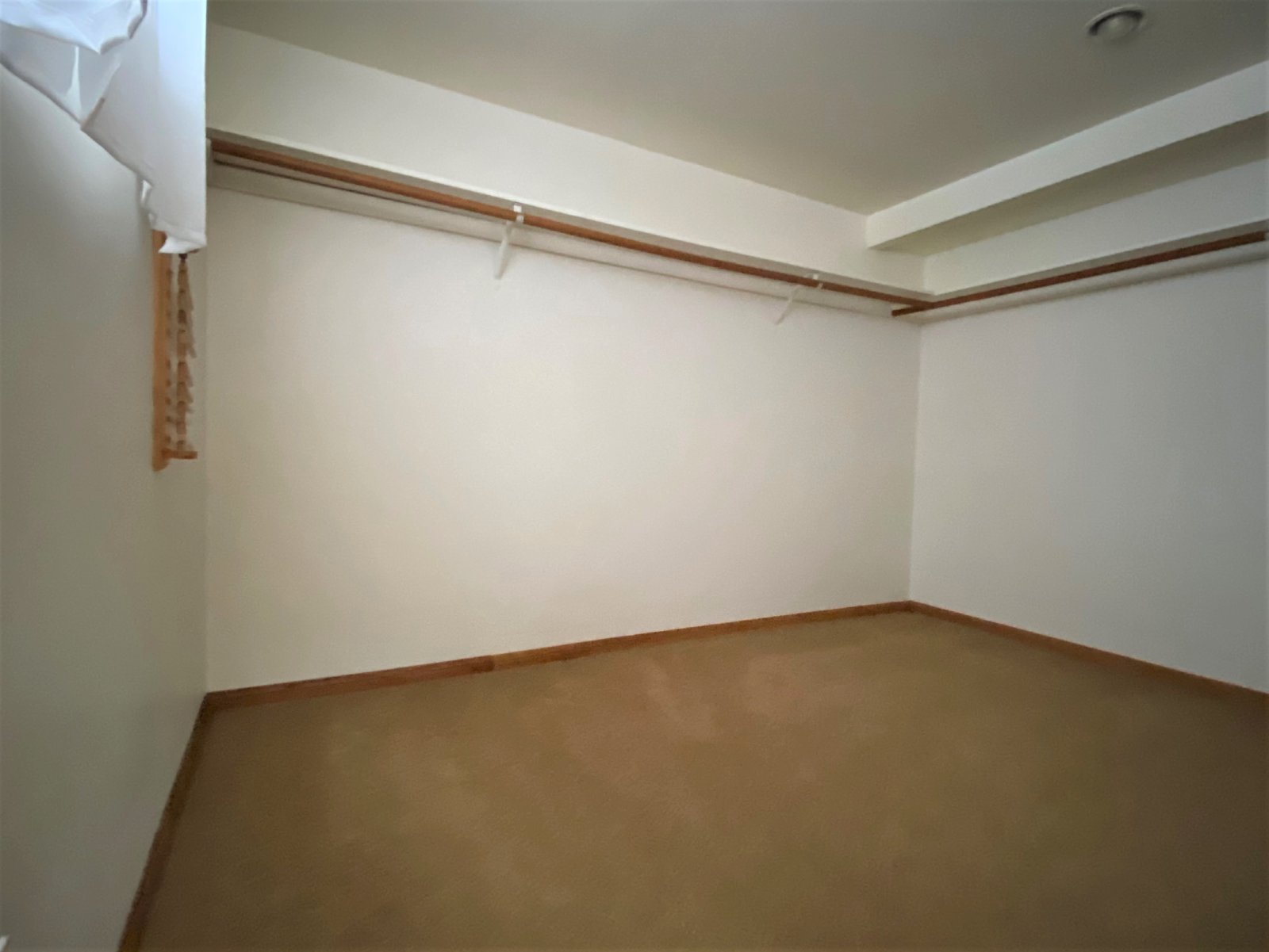 3BR 3BA home, located in beautiful Solana Beach! Spacious layout with lush landscape property image