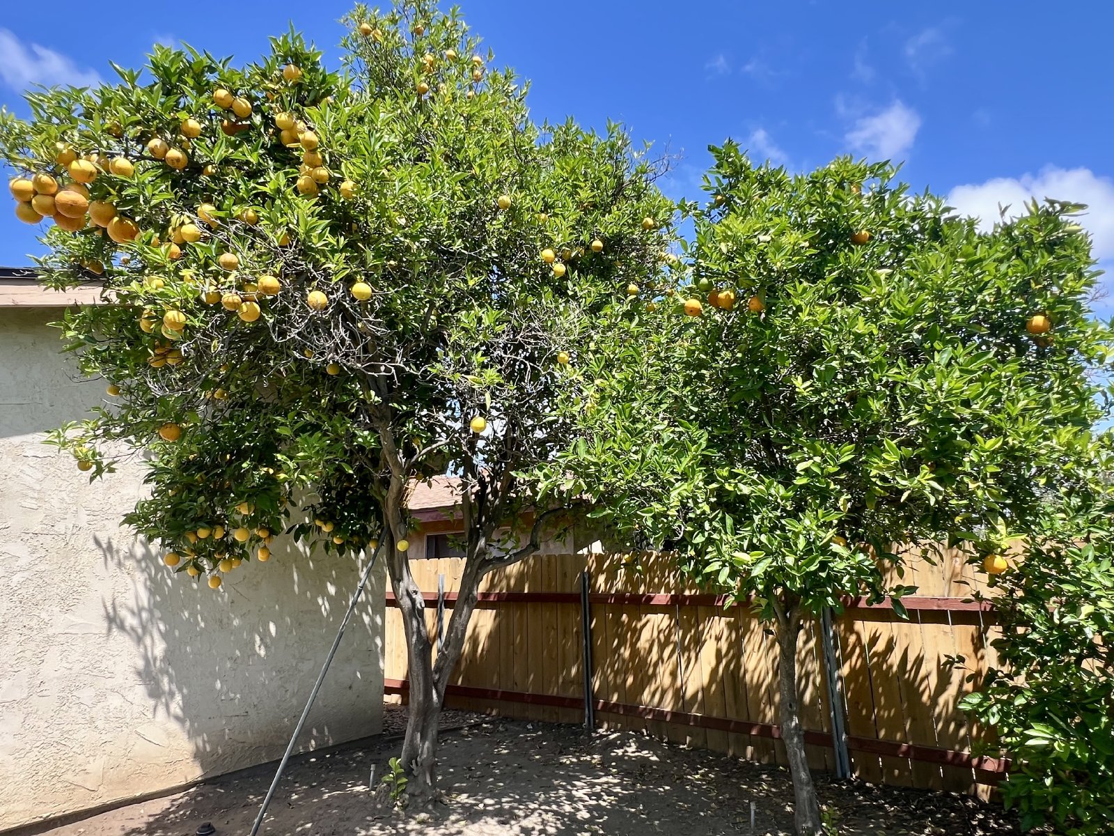 Welcome to your new home in the heart of Pacific Beach! property image