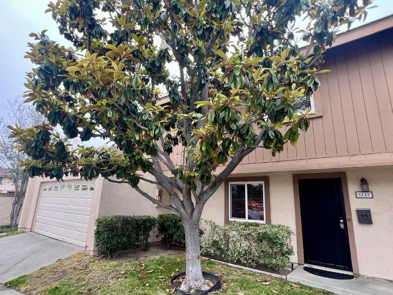 Stunning 4BR Townhome with Hardwood Floors, Private Patio, Community Pool & 2-Car Garage! property image