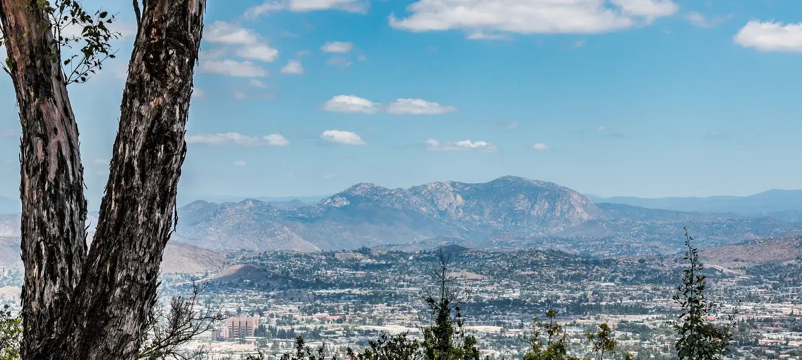 Fletcher Hills Property Management